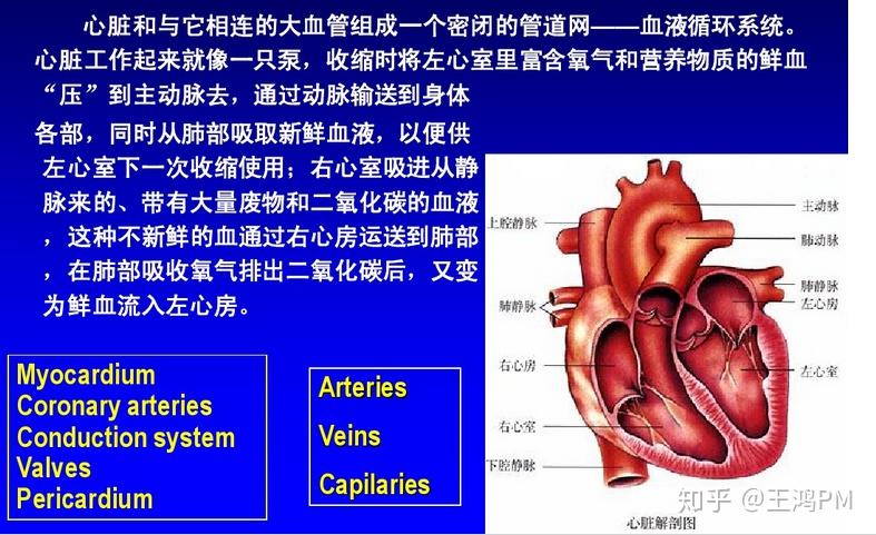 国内首个血液系统罕见病超药品说明书用药专家共识发布 血液系统罕见病患者 超说明书用药有依据(图1)