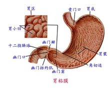 浙江医药：SH-337片临床试验获批 拟用于消化系统酸相关NG体育娱乐app下载性疾病治疗(图1)